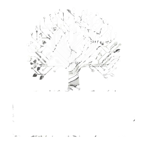Dream Tribe logo